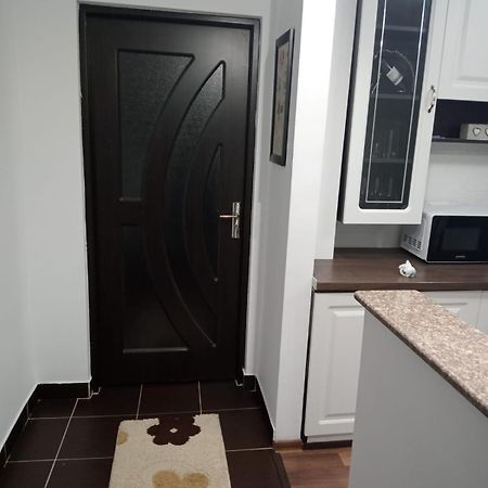 Penti Apartament スチャヴァ エクステリア 写真