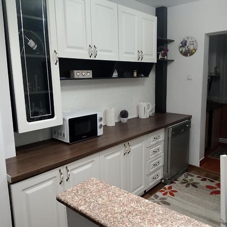 Penti Apartament スチャヴァ エクステリア 写真
