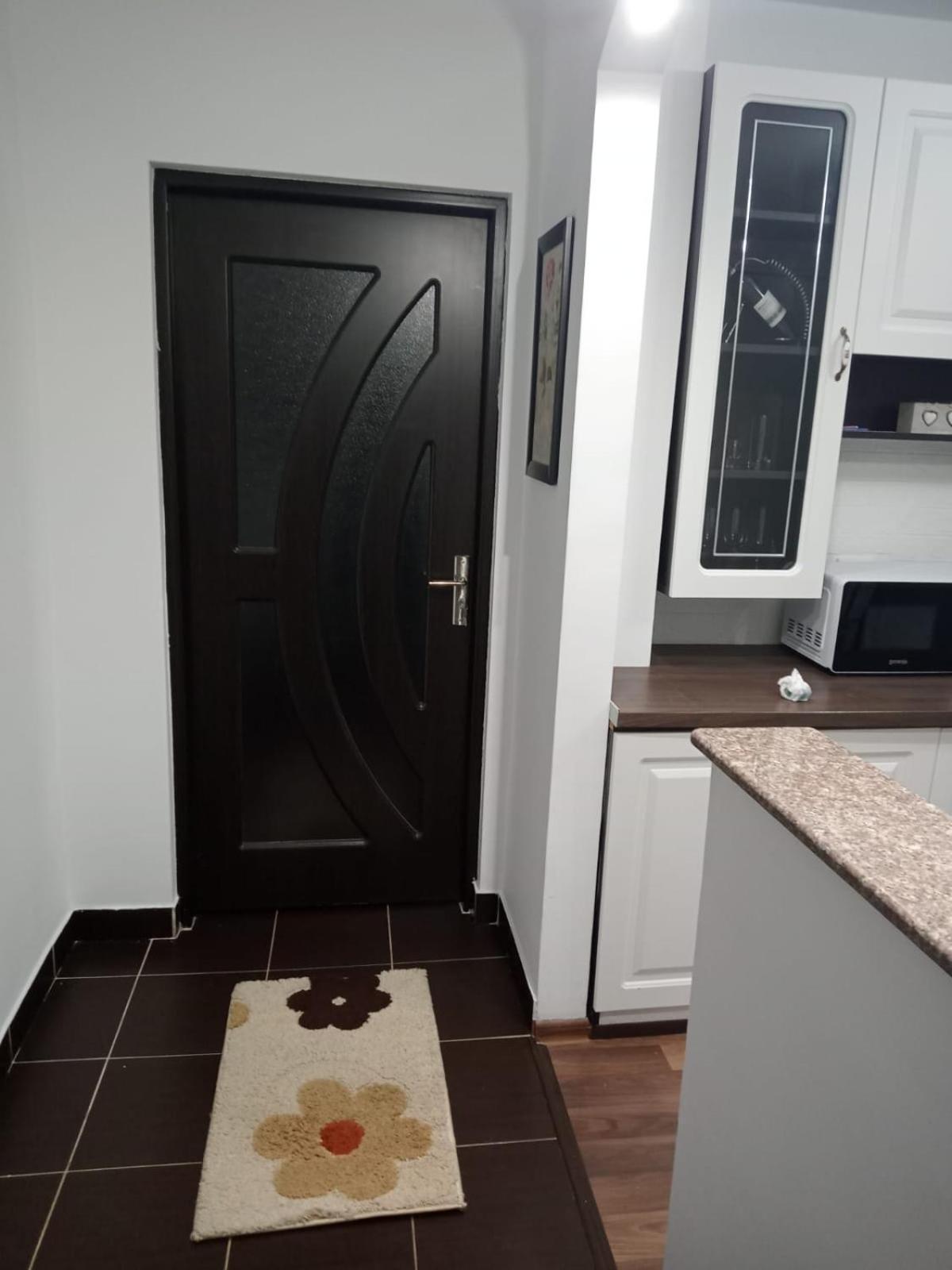 Penti Apartament スチャヴァ エクステリア 写真