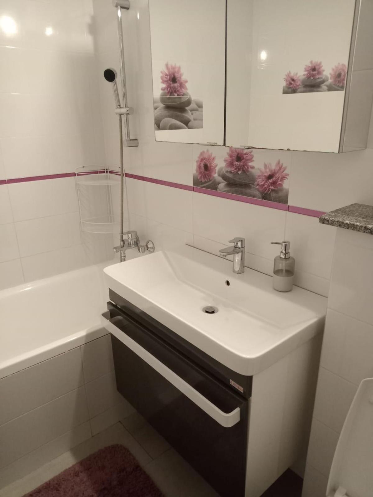 Penti Apartament スチャヴァ エクステリア 写真